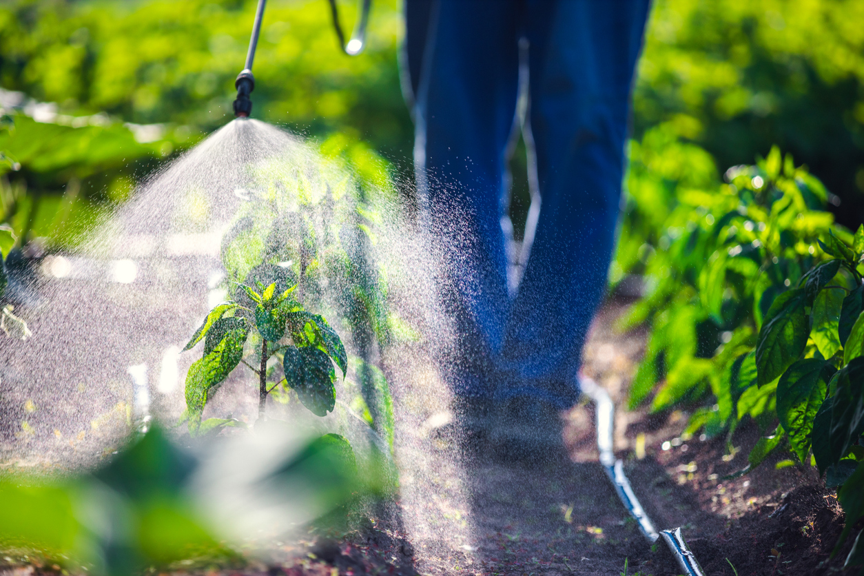 MBG Settles Lawsuits against Bayer/Monsanto on behalf of non-U.S. Citizen Farmworker, Ensuring that Non-Citizens Can Participate in Future Roundup Settlements